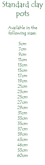 Standard clay pots Available in the following sizes: 5cm 7cm 9cm 11cm 13cm 15cm 17cm 19cm 21cm 23cm 25cm 27cm 29cm 31cm 33cm 35cm 37cm 39cm 43cm 46cm 53cm 60cm 