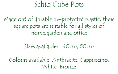 Schio Cube Pots Made out of durable uv-protected plastic, these square pots are suitable for all styles of home,garden and office Sizes available: 40cm, 50cm Colours available: Anthracite, Cappuccino, White, Bronze