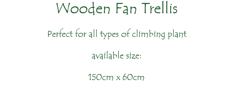 Wooden Fan Trellis Perfect for all types of climbing plant available size: 150cm x 60cm